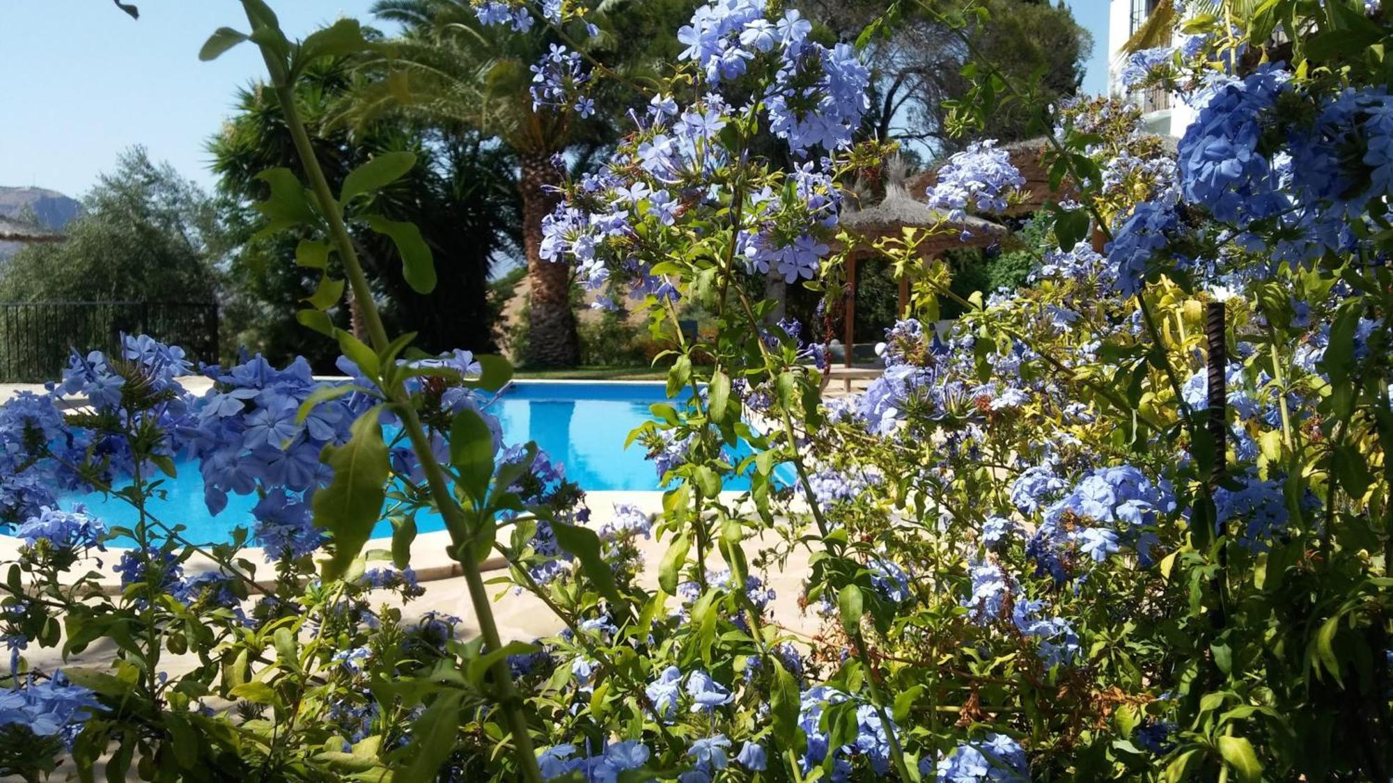 אלורה B&B Casa Domingo מראה חיצוני תמונה